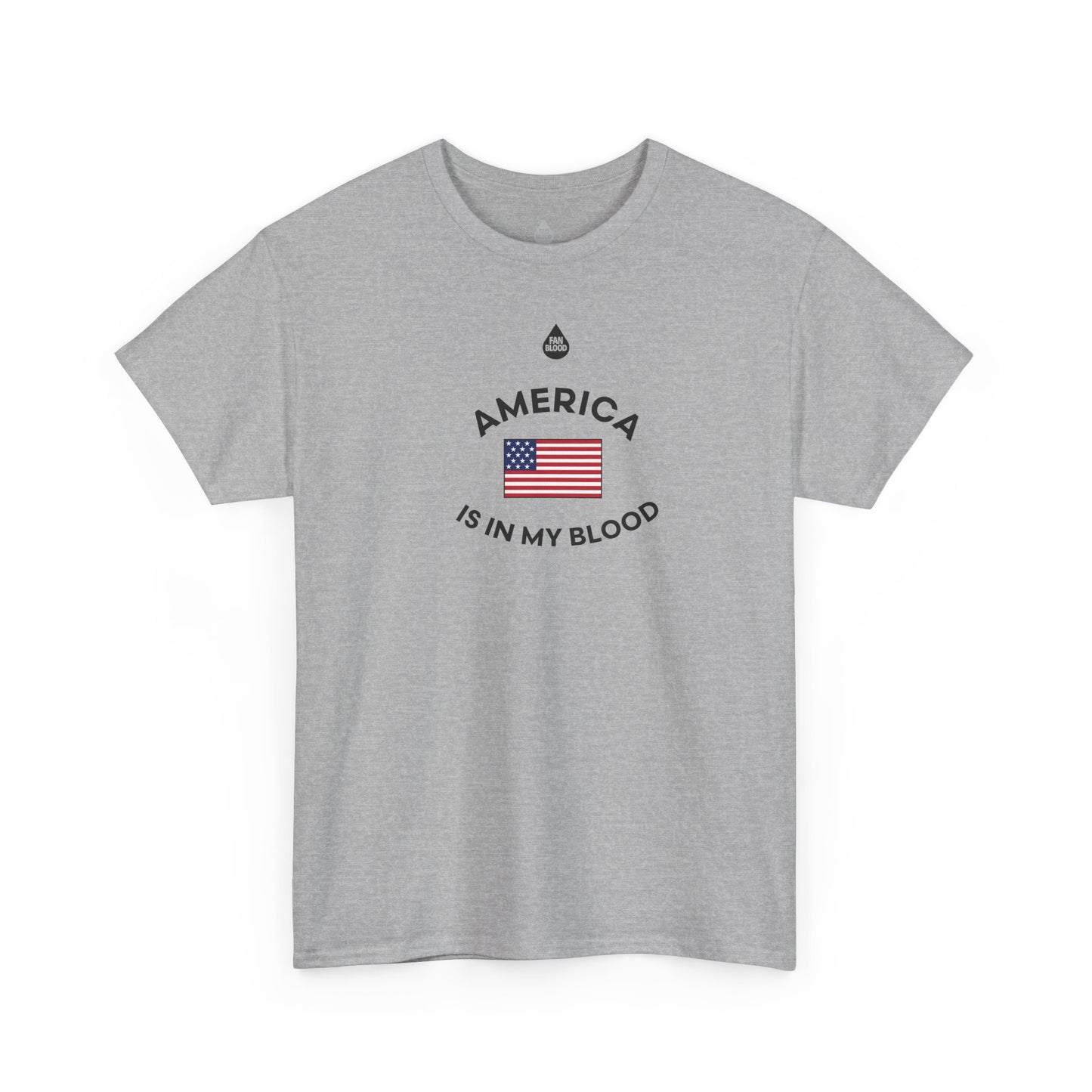 America IMB T-Shirt