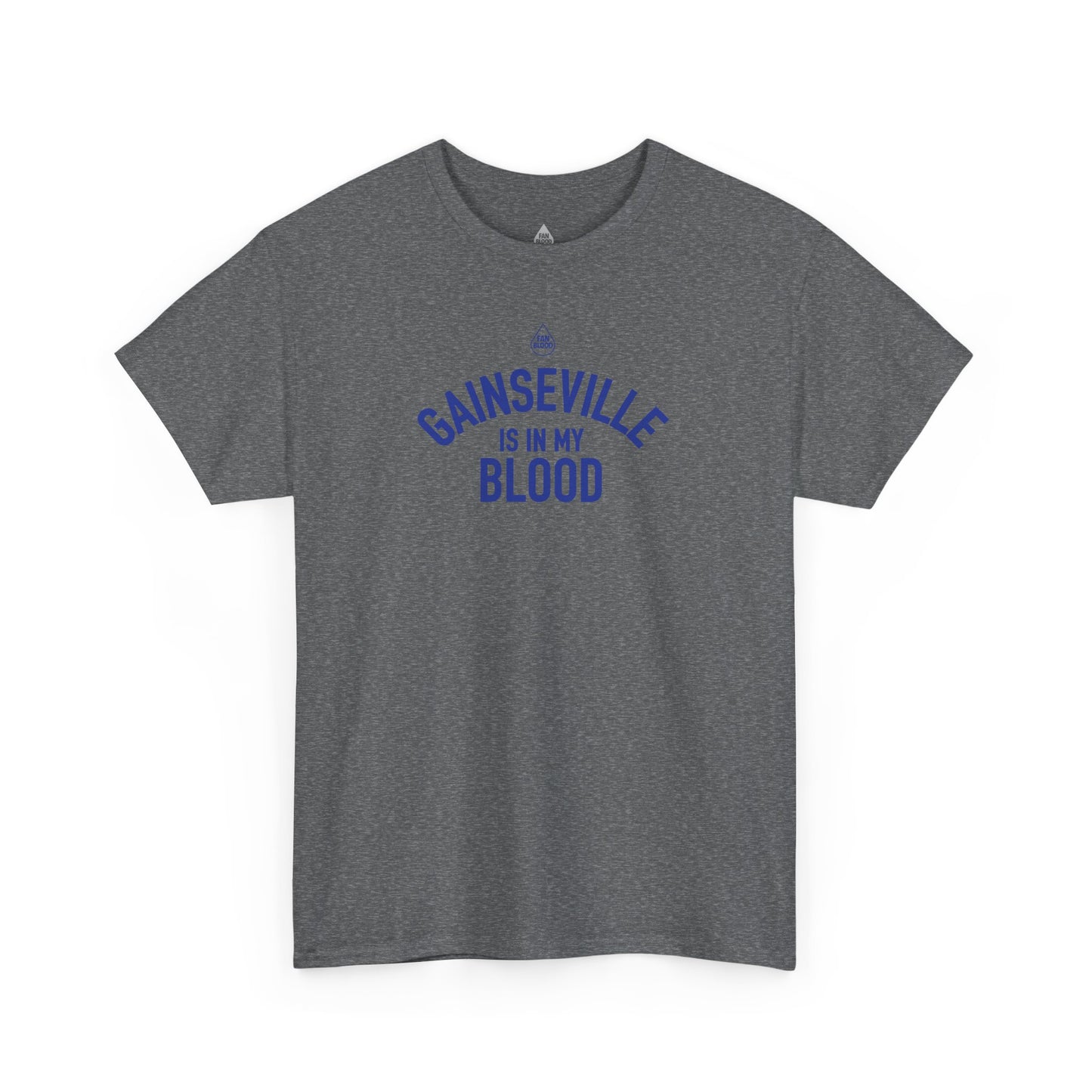 Gainesville IMB T-Shirt