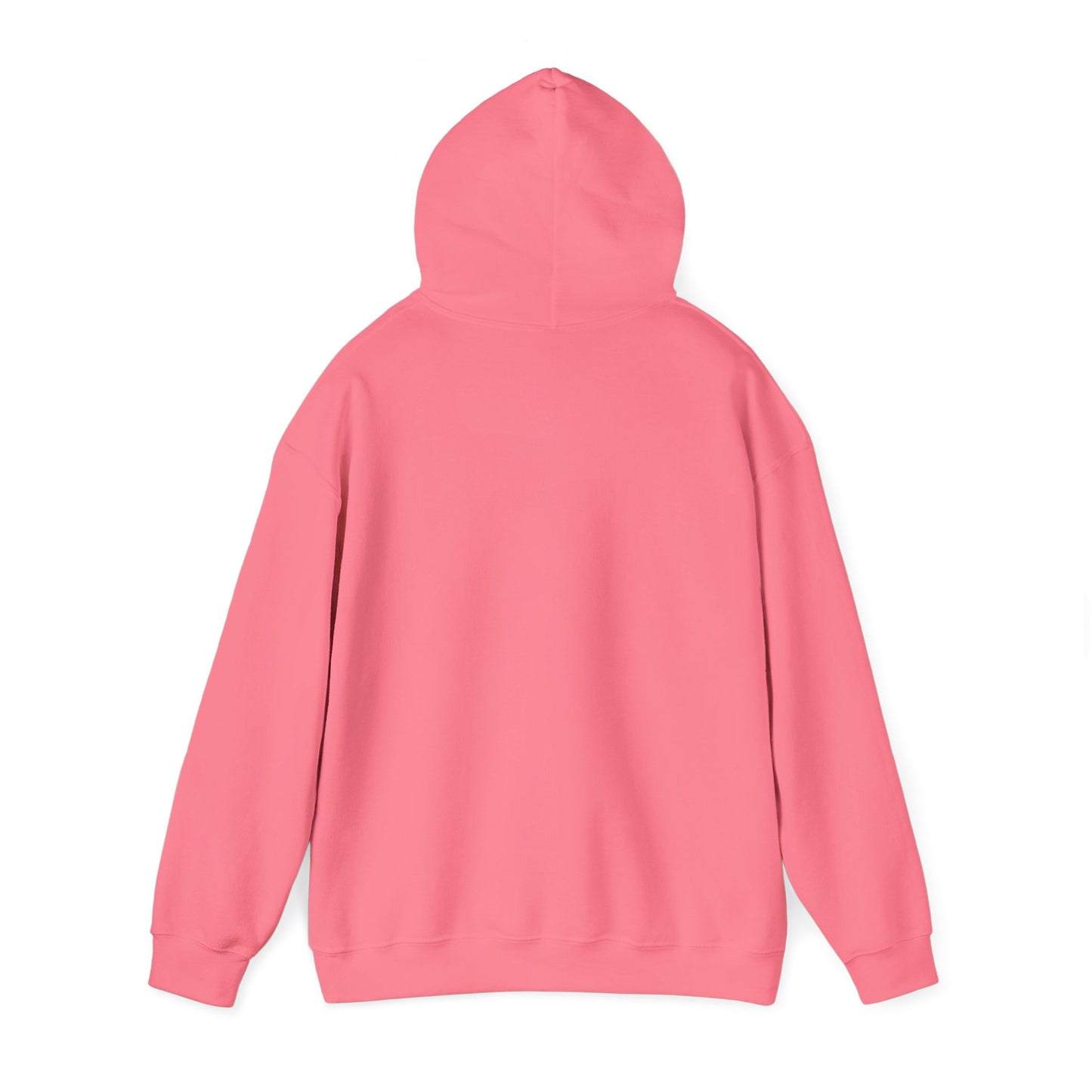 Mackinac Island IMB Hoodie