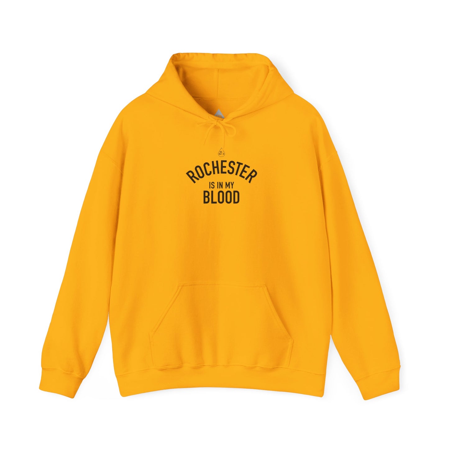 Rochester IMB Hoodie