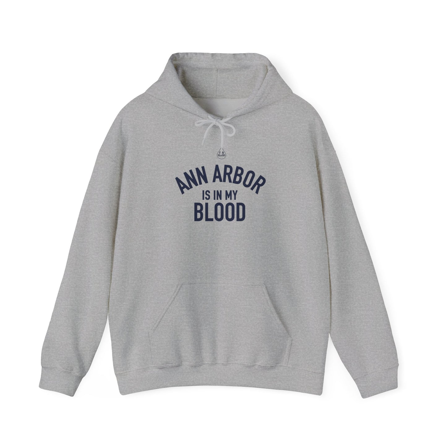 Ann Arbor IMB Hoodie