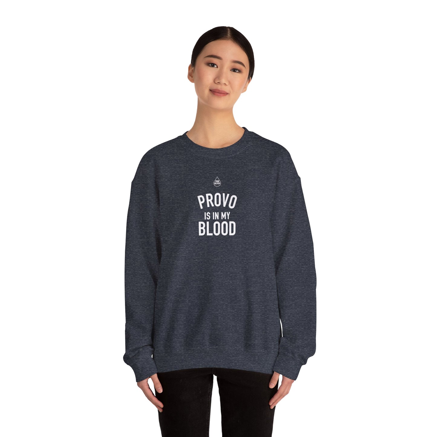 Provo IMB Sweatshirt