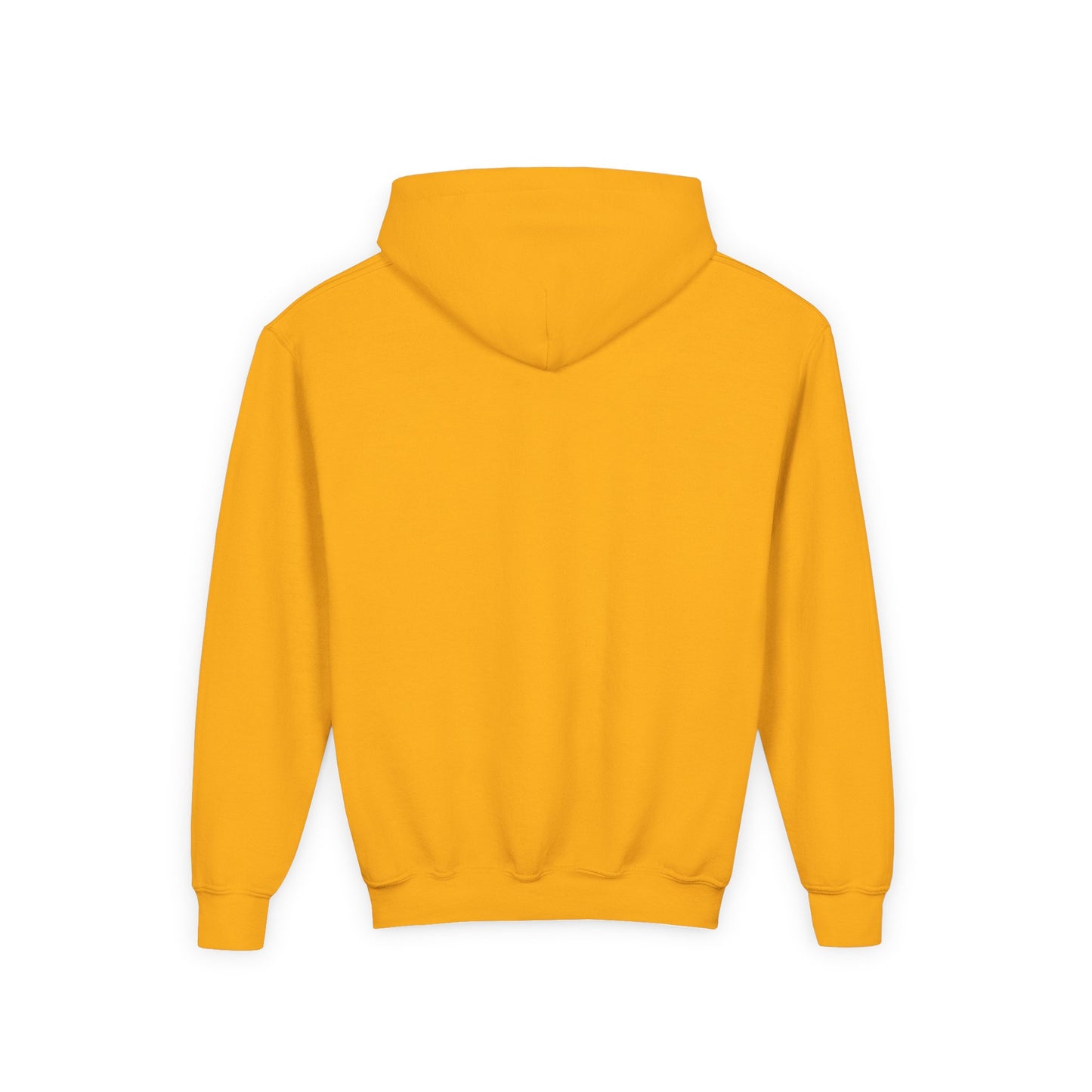 Mackinac Island IMB Kid's Hoodie