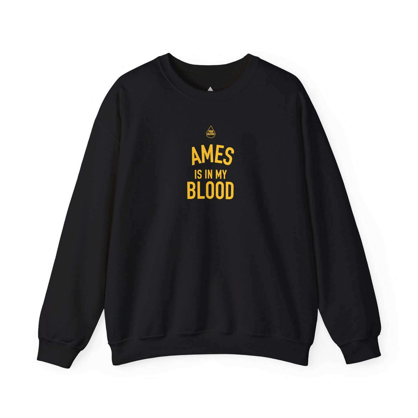 Ames IMB Sweatshirt