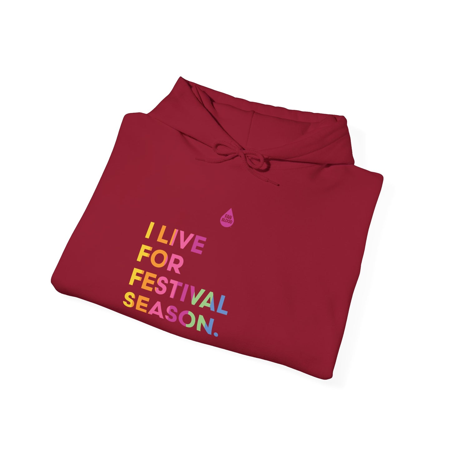 Live For Festival Season Hoodie