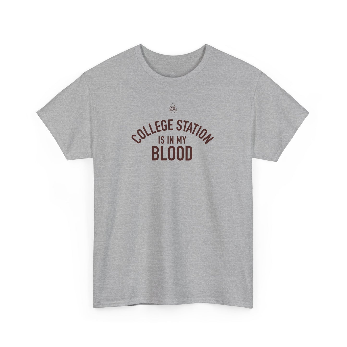 College Station IMB T-Shirt