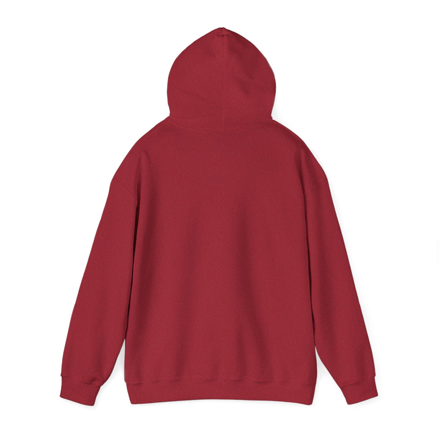 Pickleball IMB Hoodie
