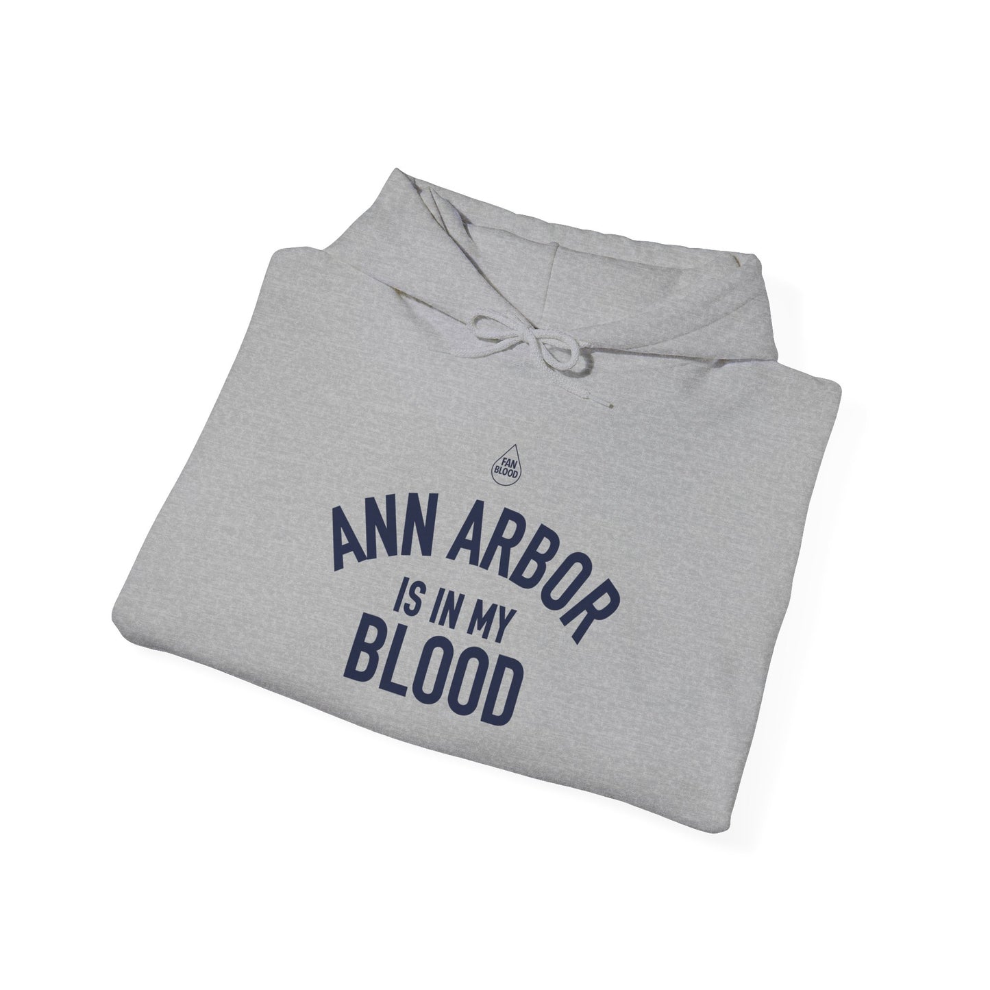 Ann Arbor IMB Hoodie