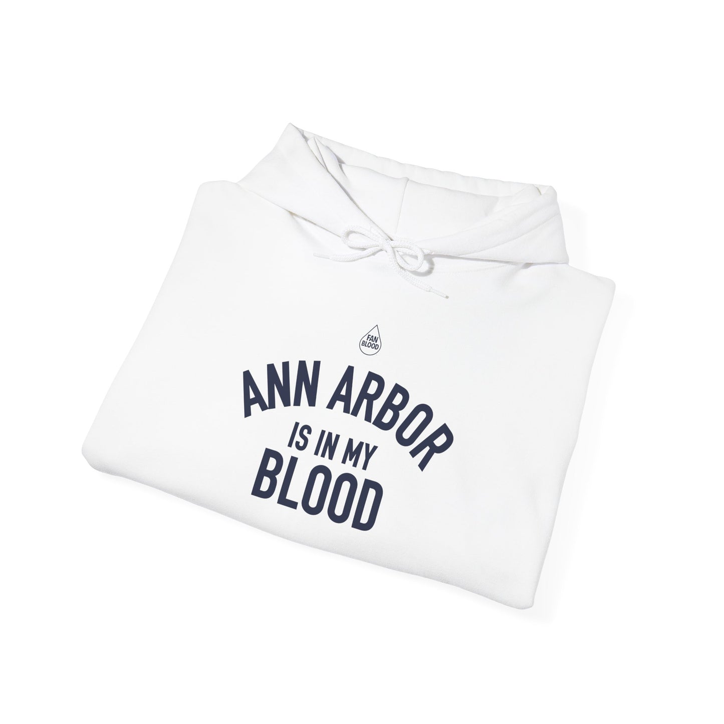 Ann Arbor IMB Hoodie