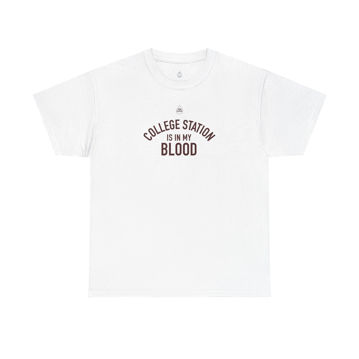 College Station IMB T-Shirt