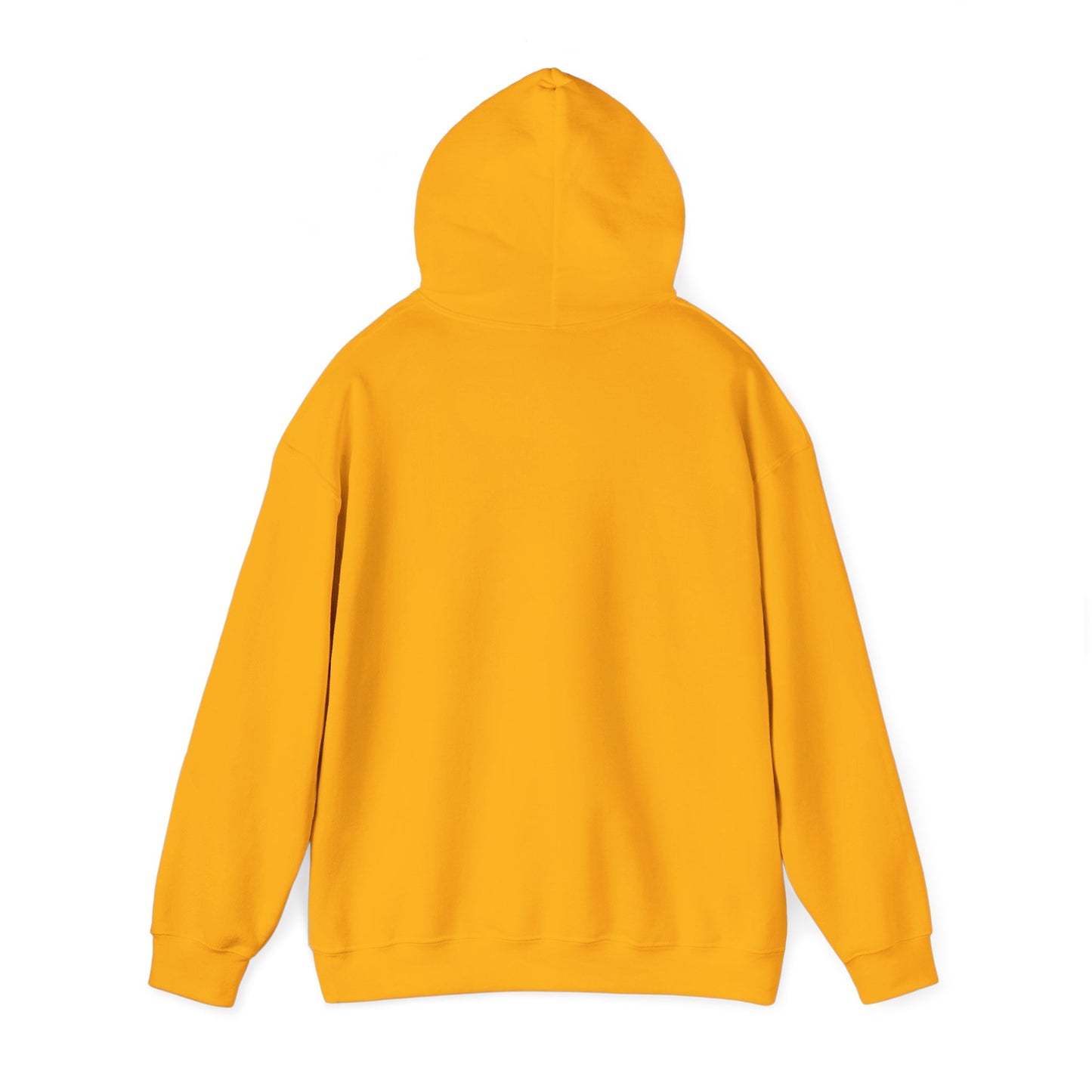 Mackinac Island IMB Hoodie