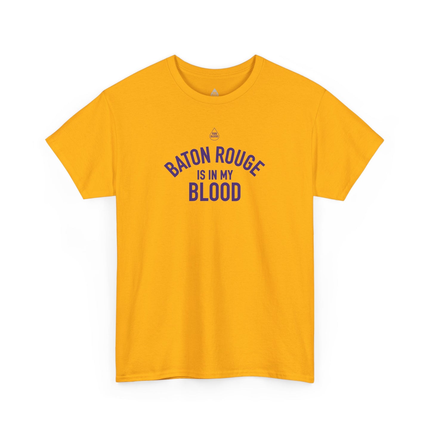 Baton Rouge IMB T-Shirt