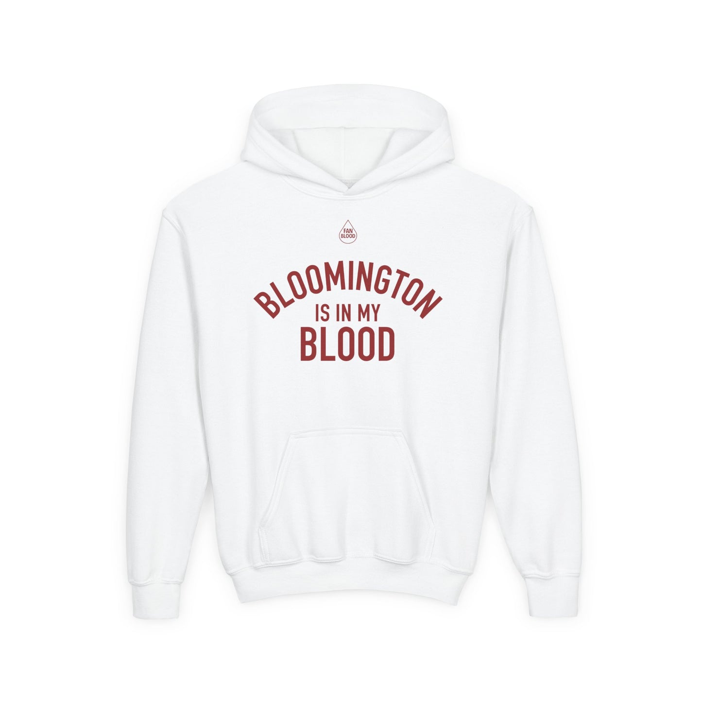 Bloomington IMB Kid's Hoodie