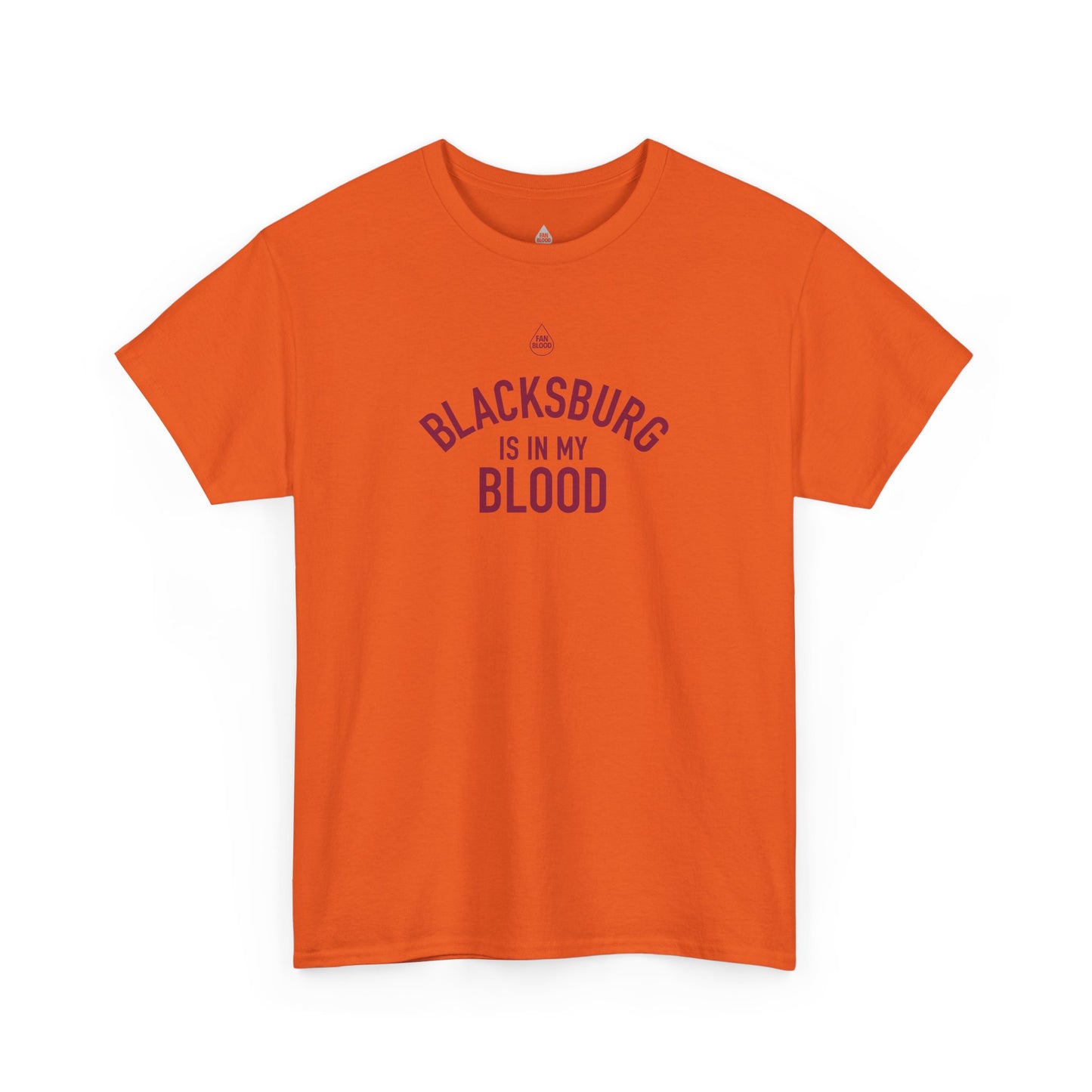 Blacksburg IMB T-Shirt
