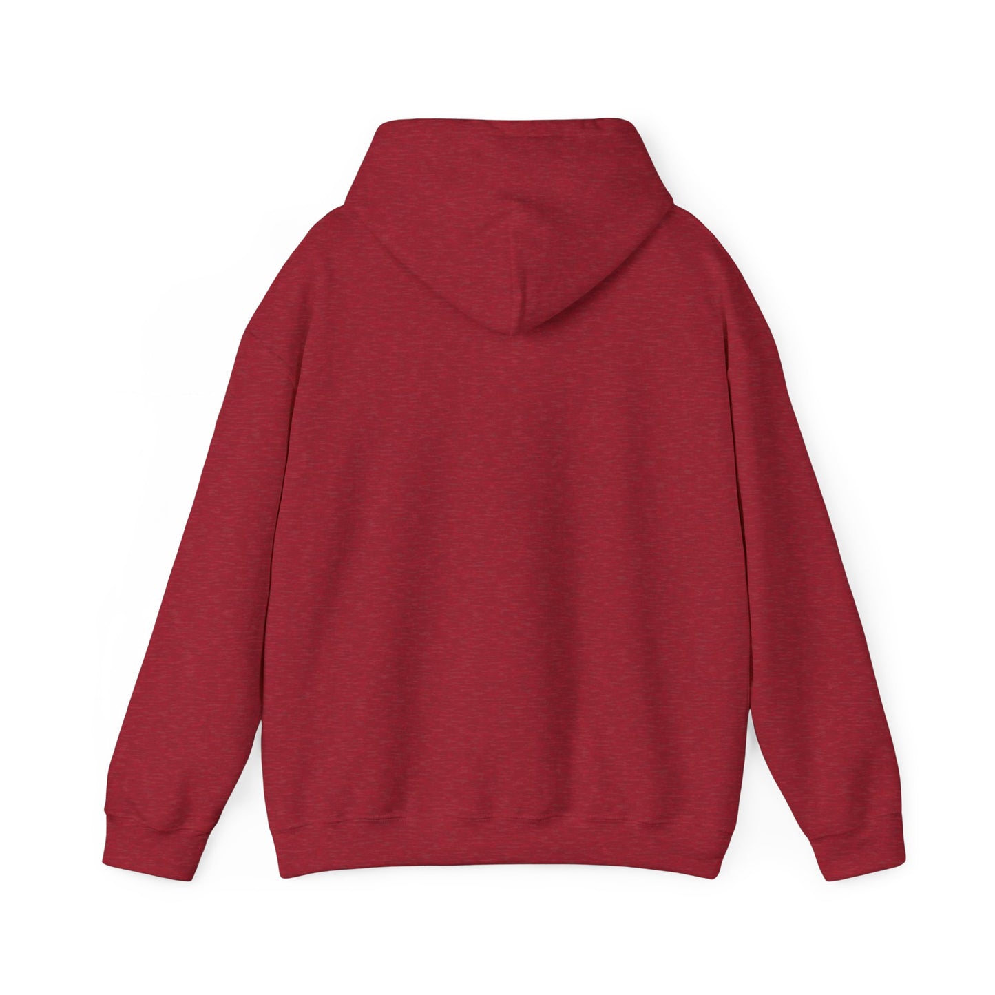Pickleball IMB Hoodie
