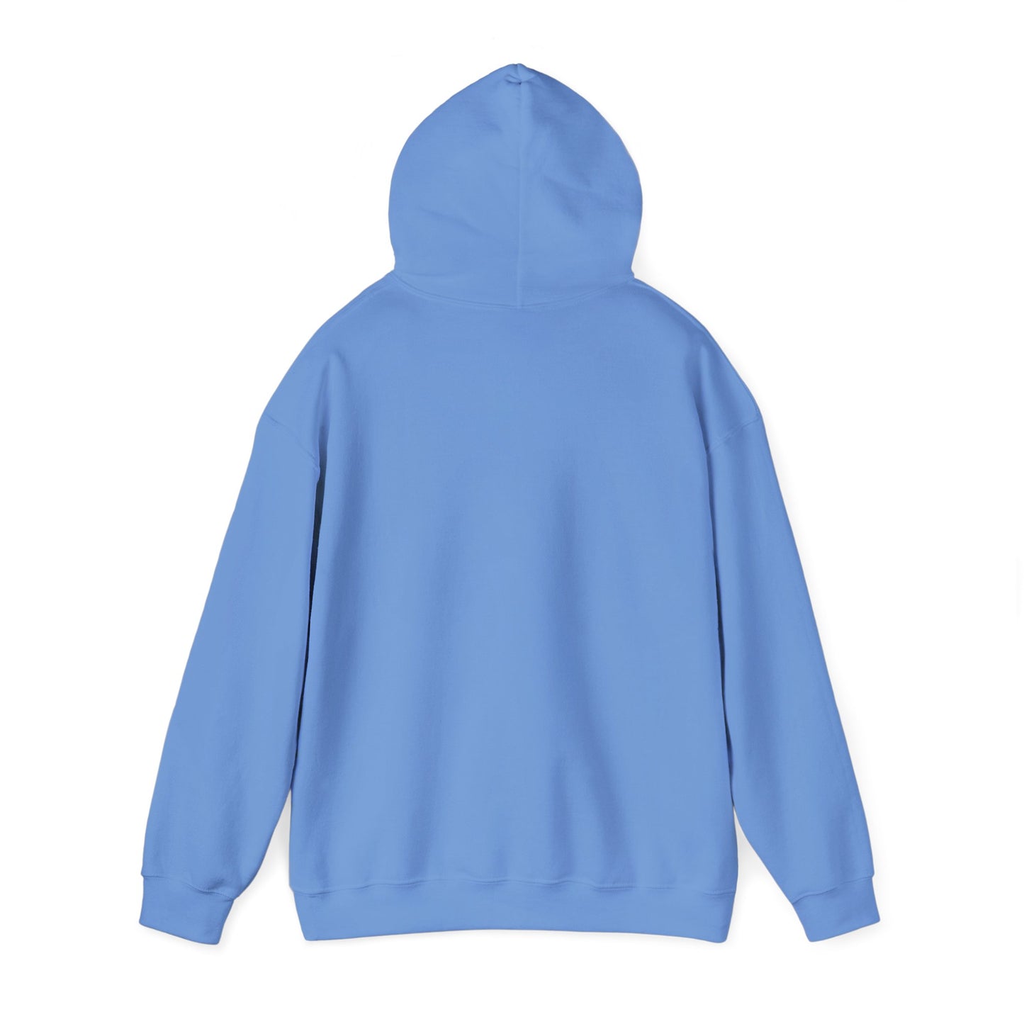 Rescuing IMB Hoodie