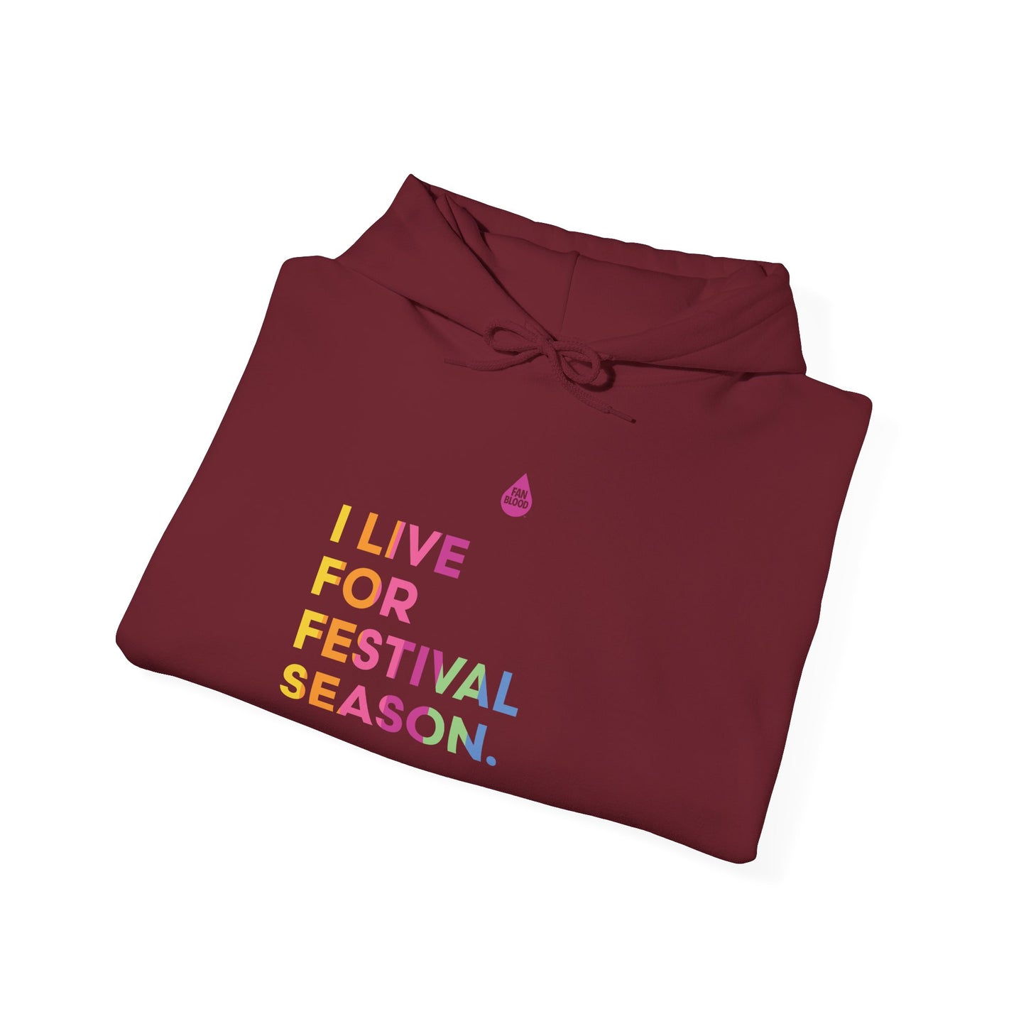Live For Festival Season Hoodie