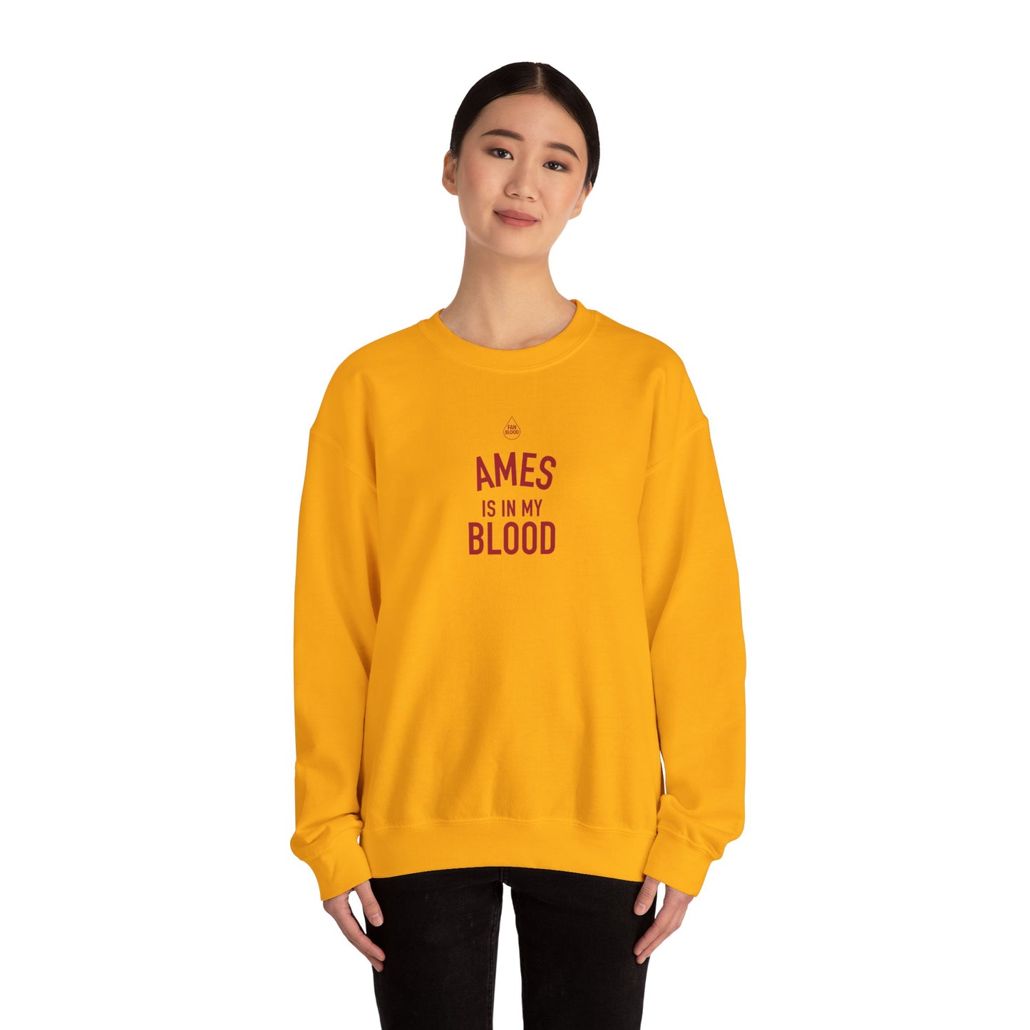 Ames IMB Sweatshirt