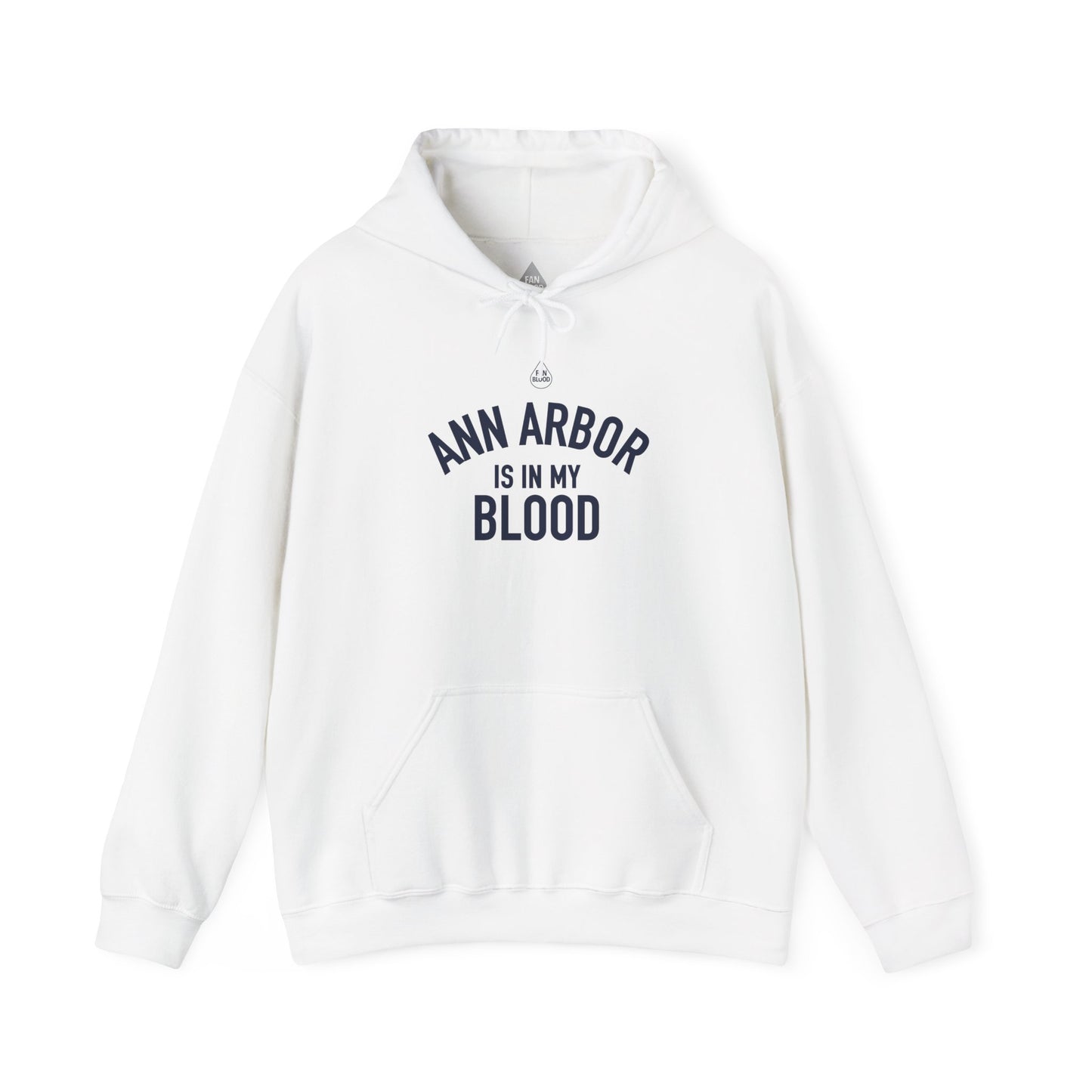 Ann Arbor IMB Hoodie