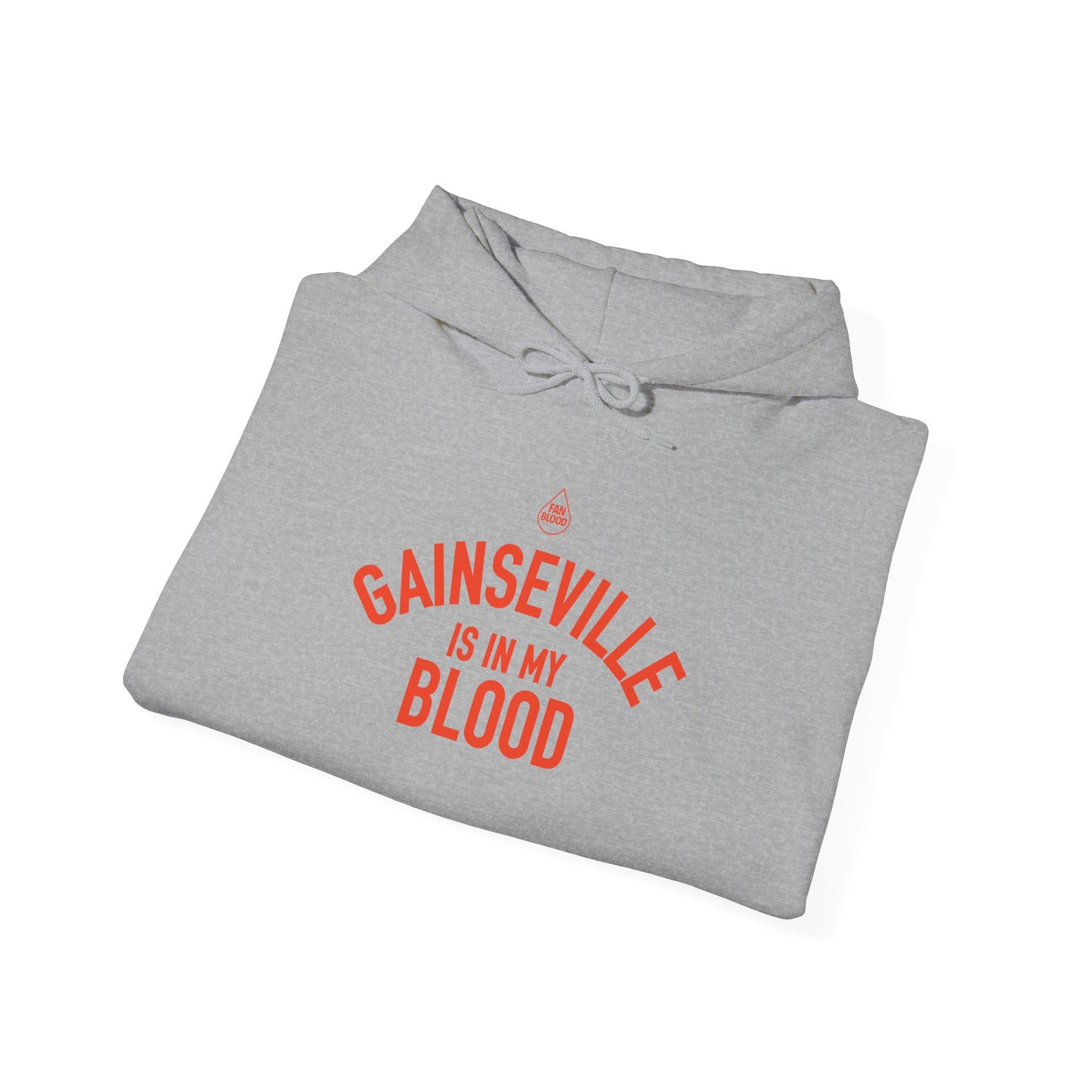 Gainesville IMB Hoodie