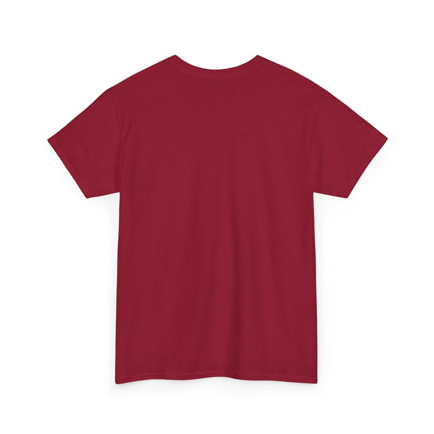 Ames IMB T-Shirt