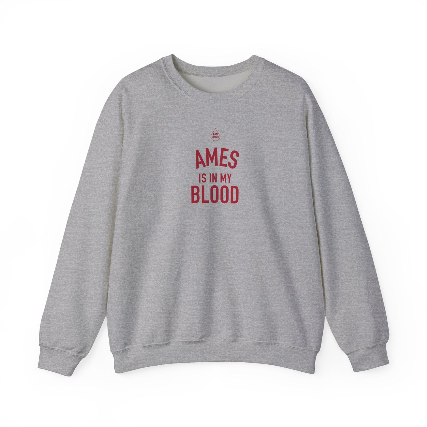 Ames IMB Sweatshirt