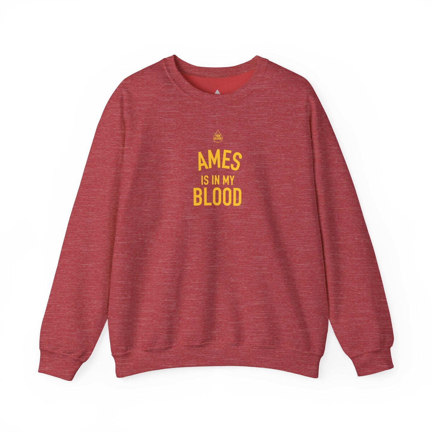 Ames IMB Sweatshirt
