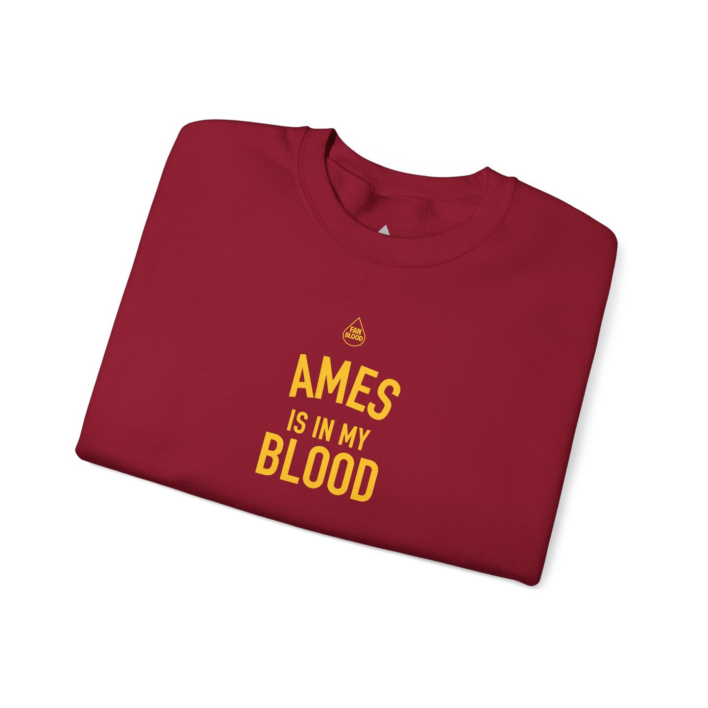 Ames IMB Sweatshirt