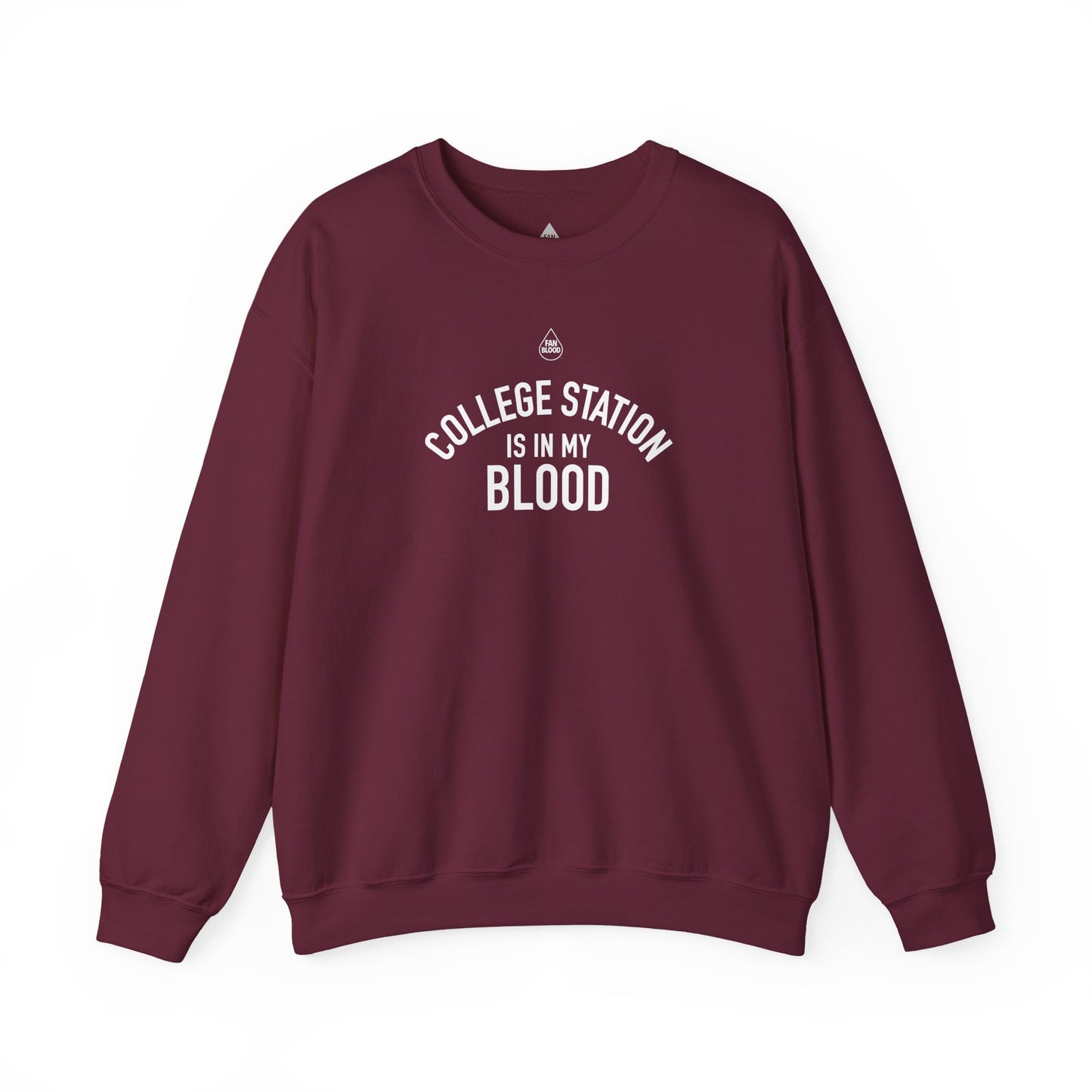 College Station IMB Sweatshirt