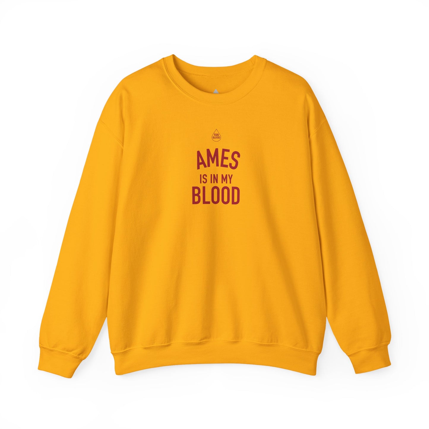 Ames IMB Sweatshirt