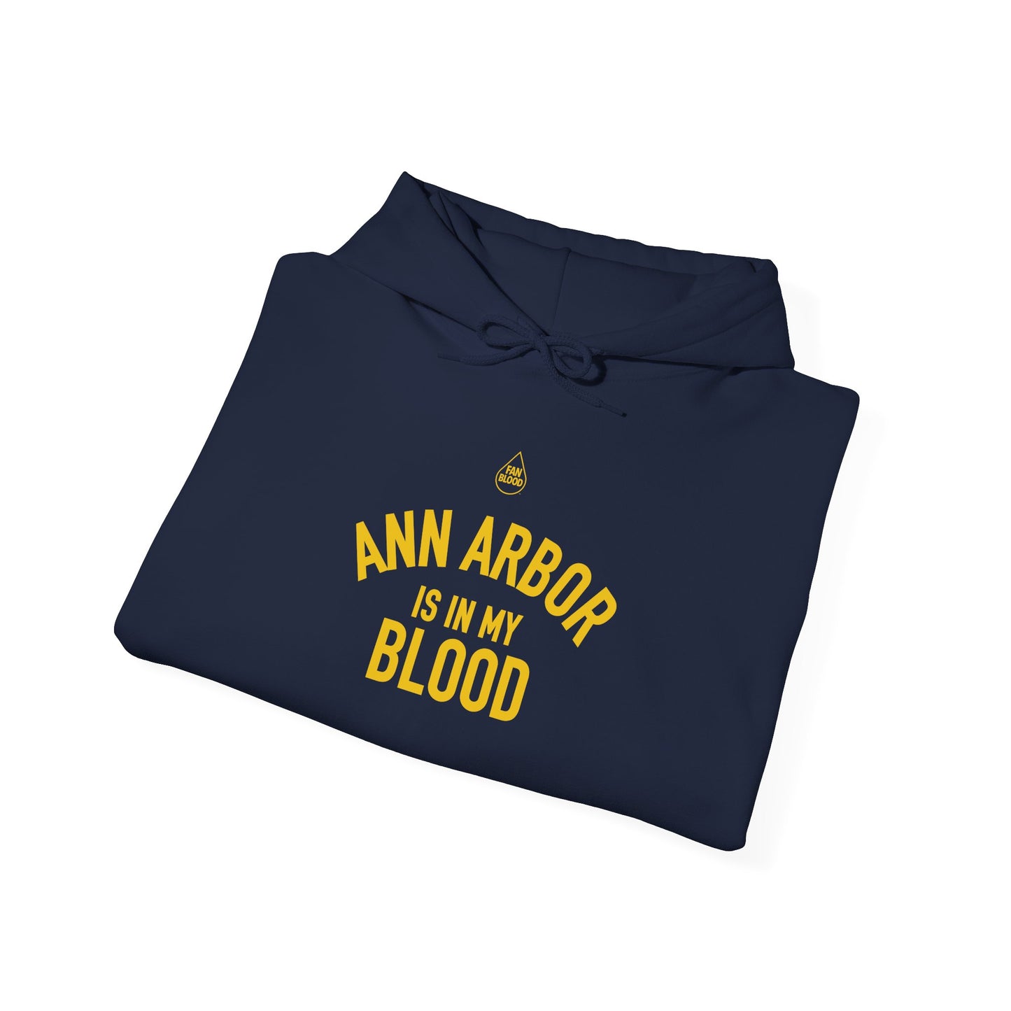 Ann Arbor IMB Hoodie