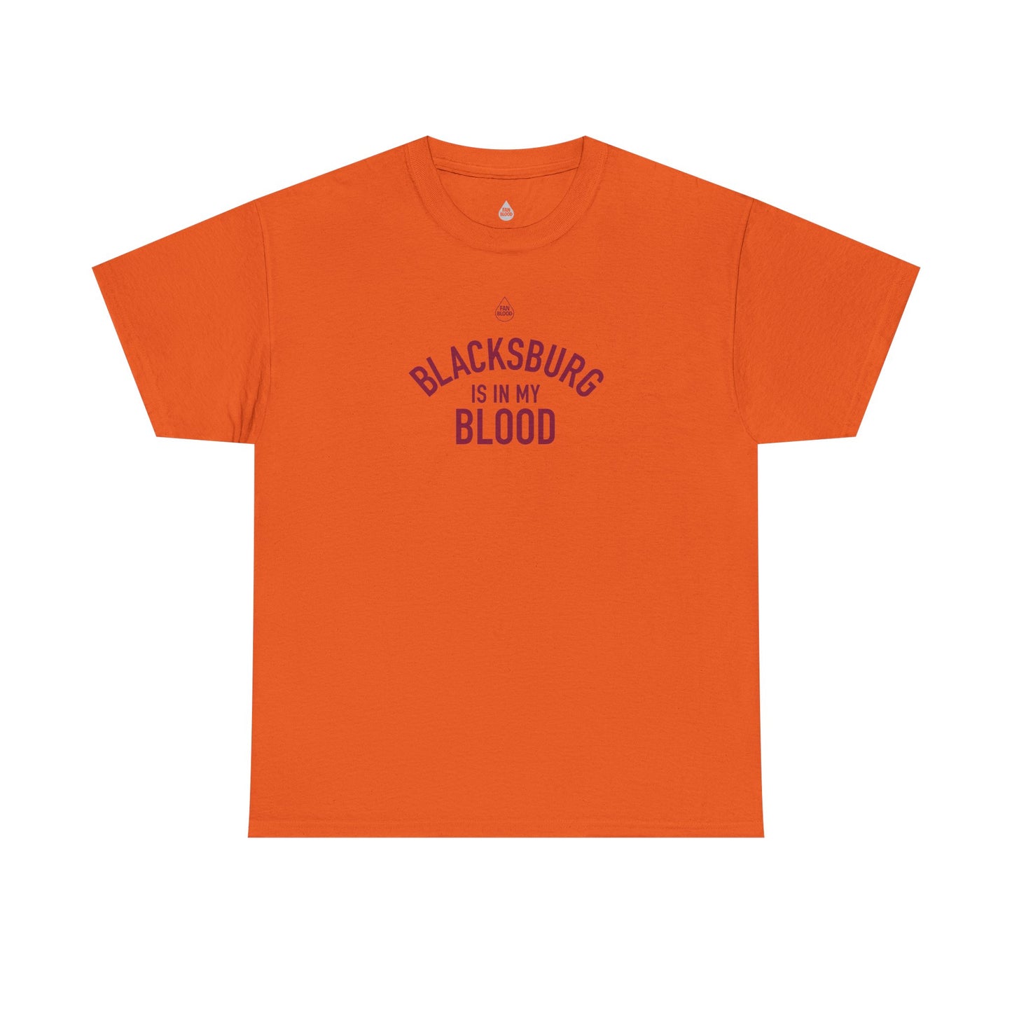 Blacksburg IMB T-Shirt