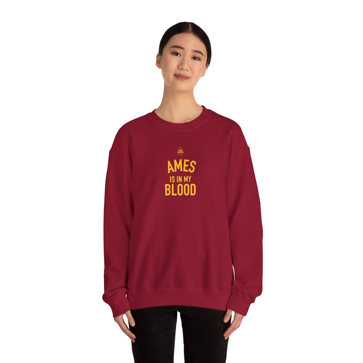 Ames IMB Sweatshirt