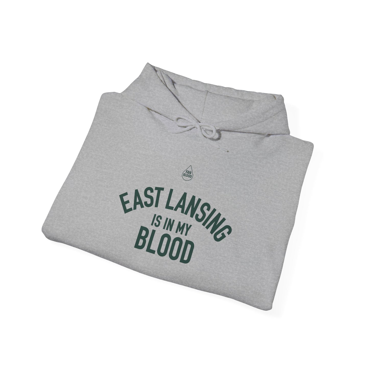 East Lansing IMB Hoodie