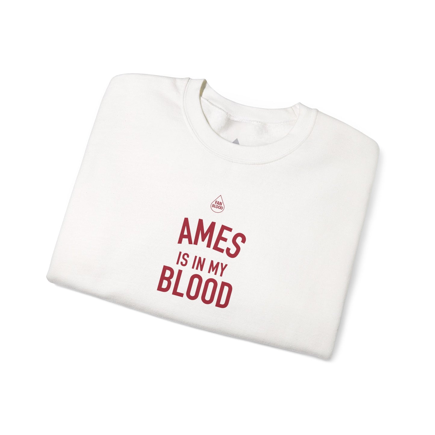 Ames IMB Sweatshirt