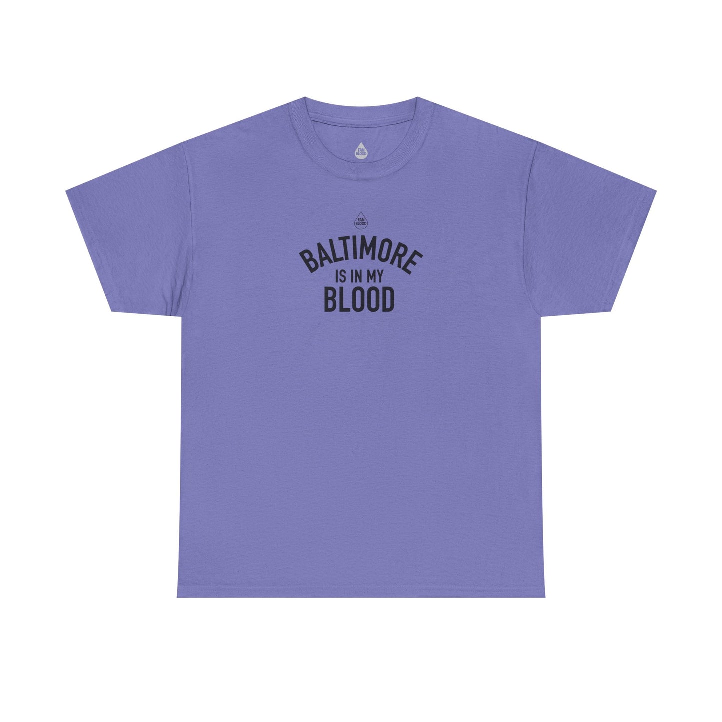 Baltimore IMB T-Shirt
