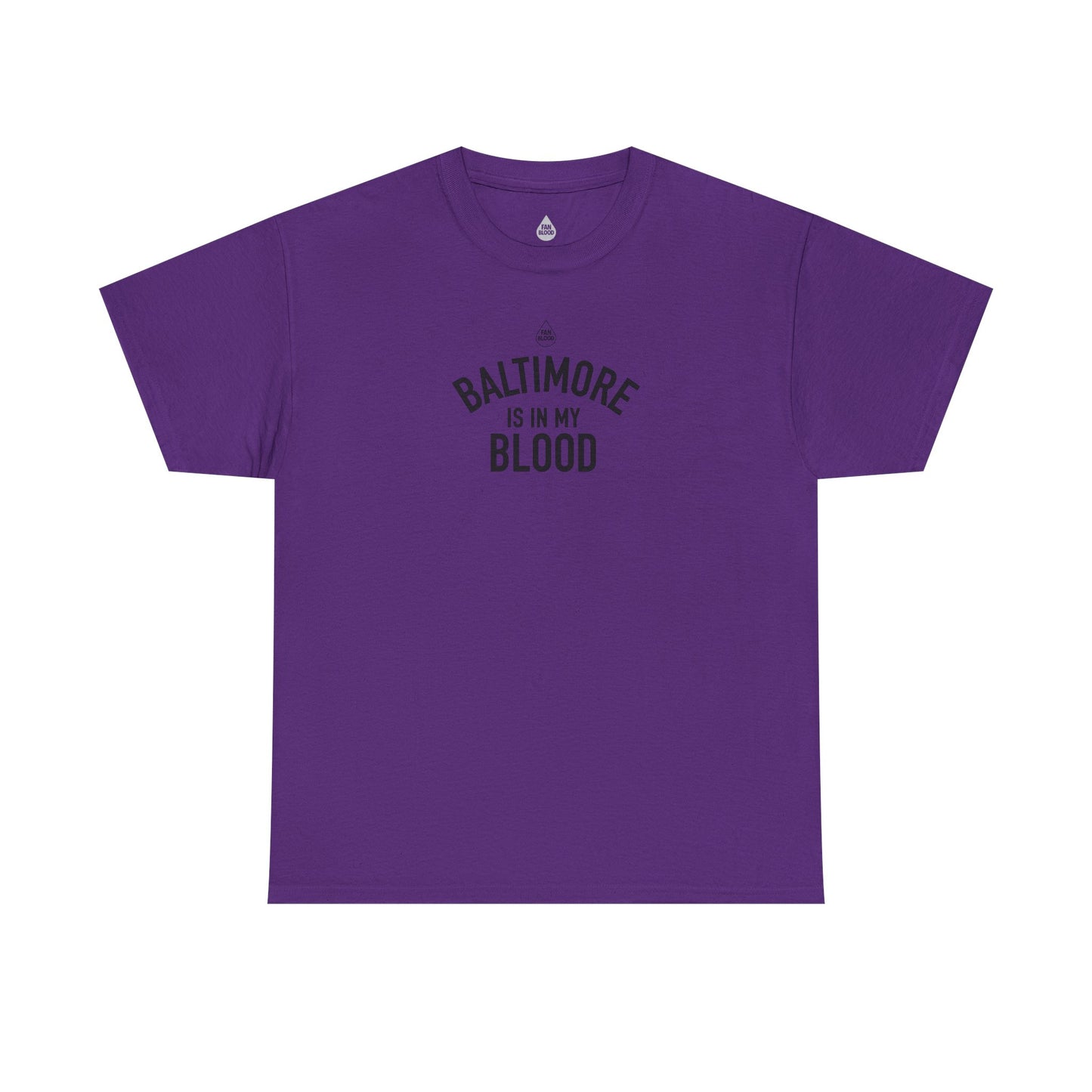 Baltimore IMB T-Shirt