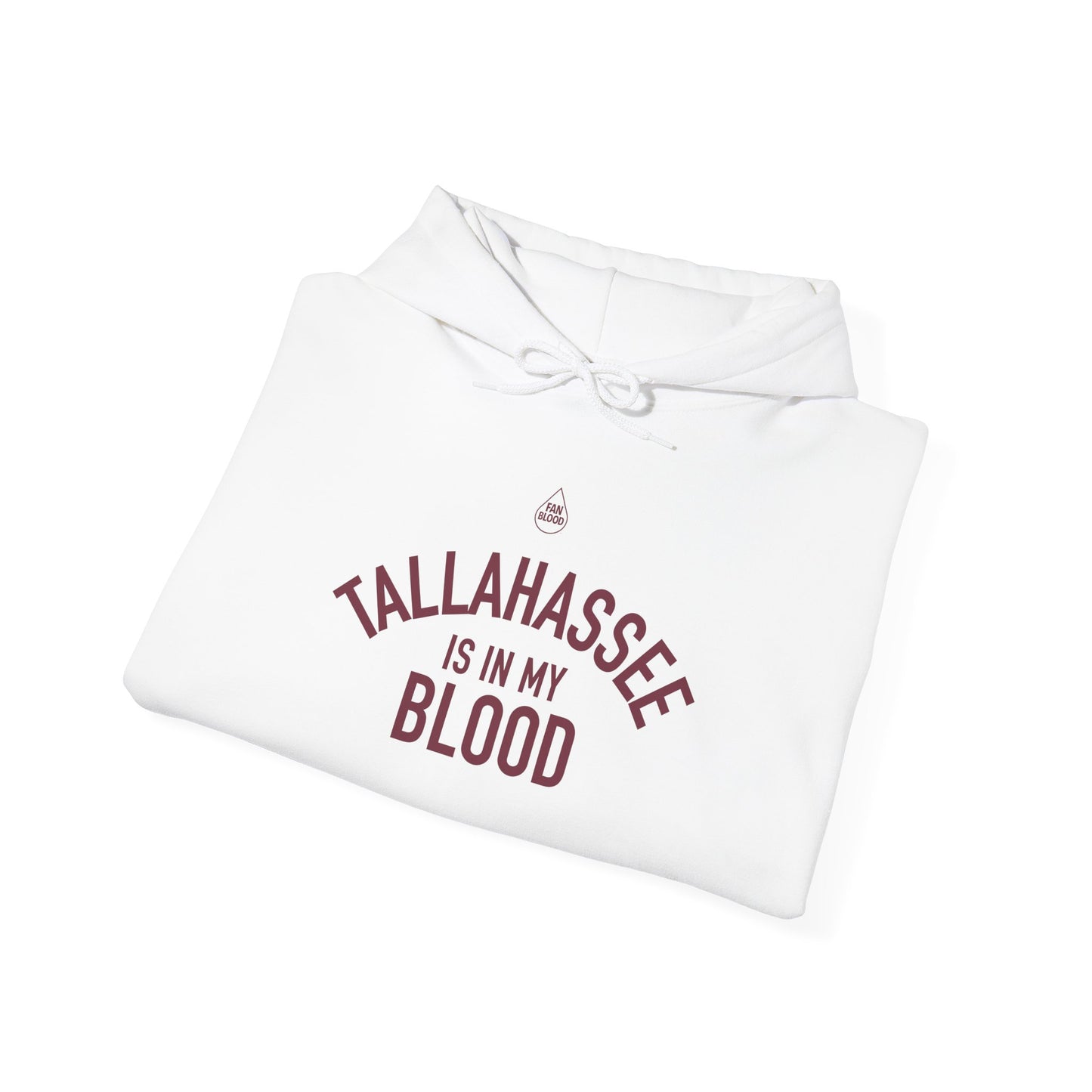 Tallahassee IMB Hoodie