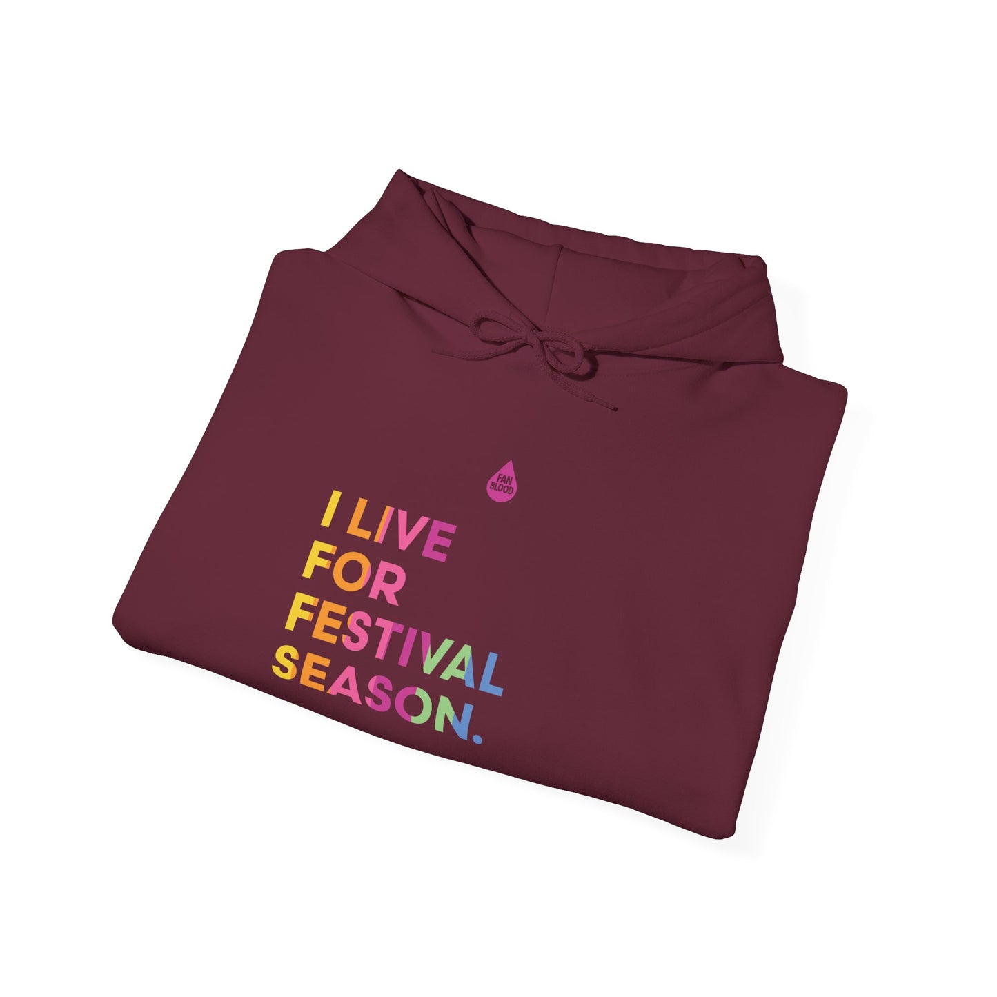 Live For Festival Season Hoodie