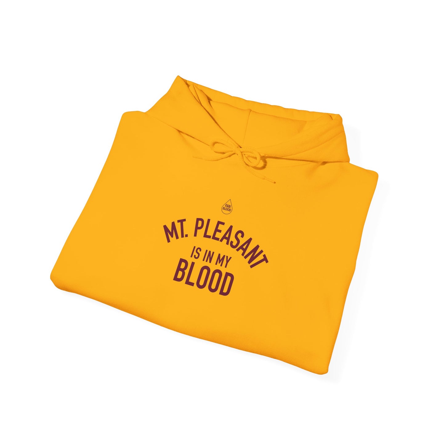 Mt. Pleasant IMB Hoodie