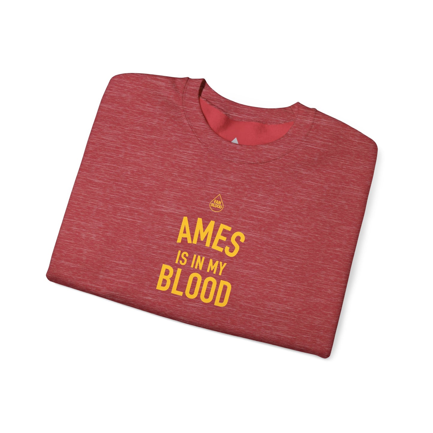Ames IMB Sweatshirt