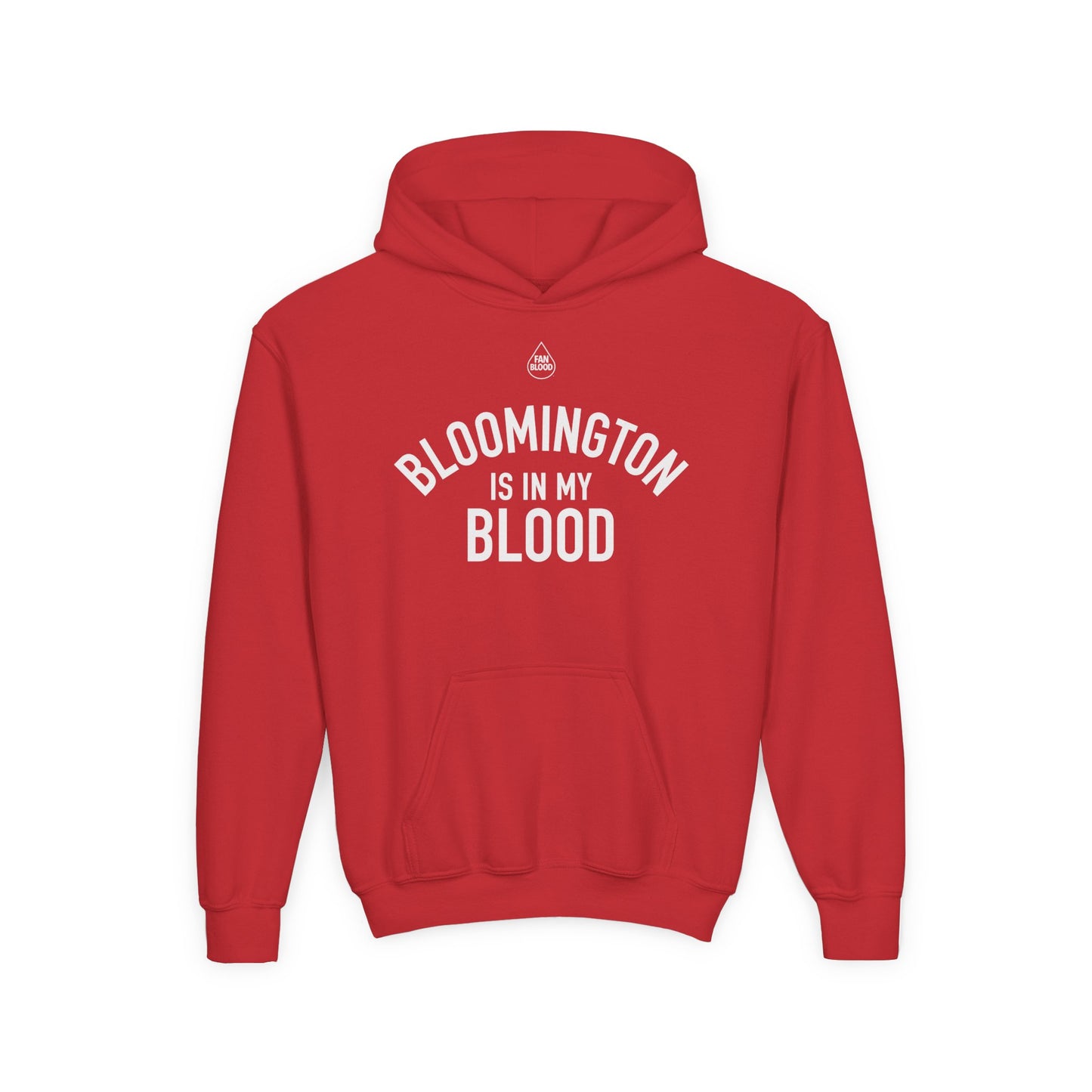 Bloomington IMB Kid's Hoodie