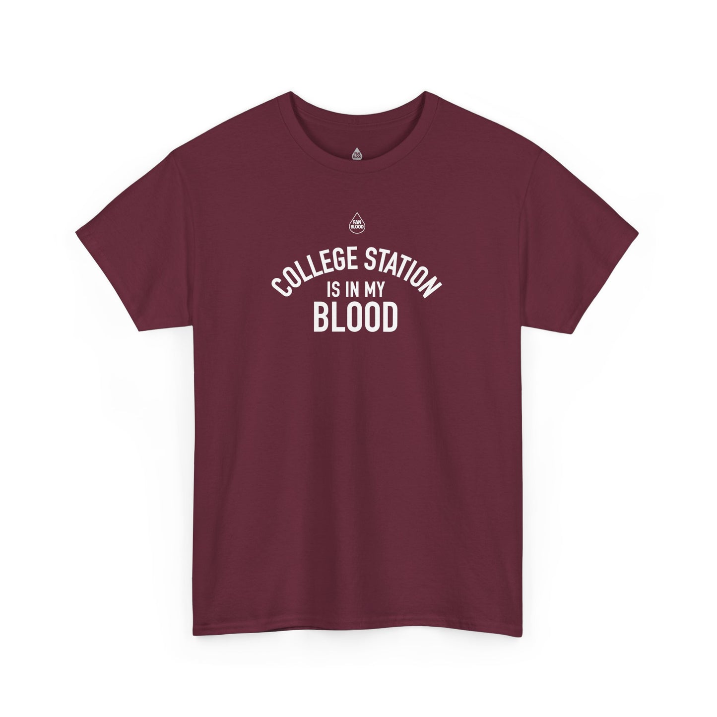 College Station IMB T-Shirt