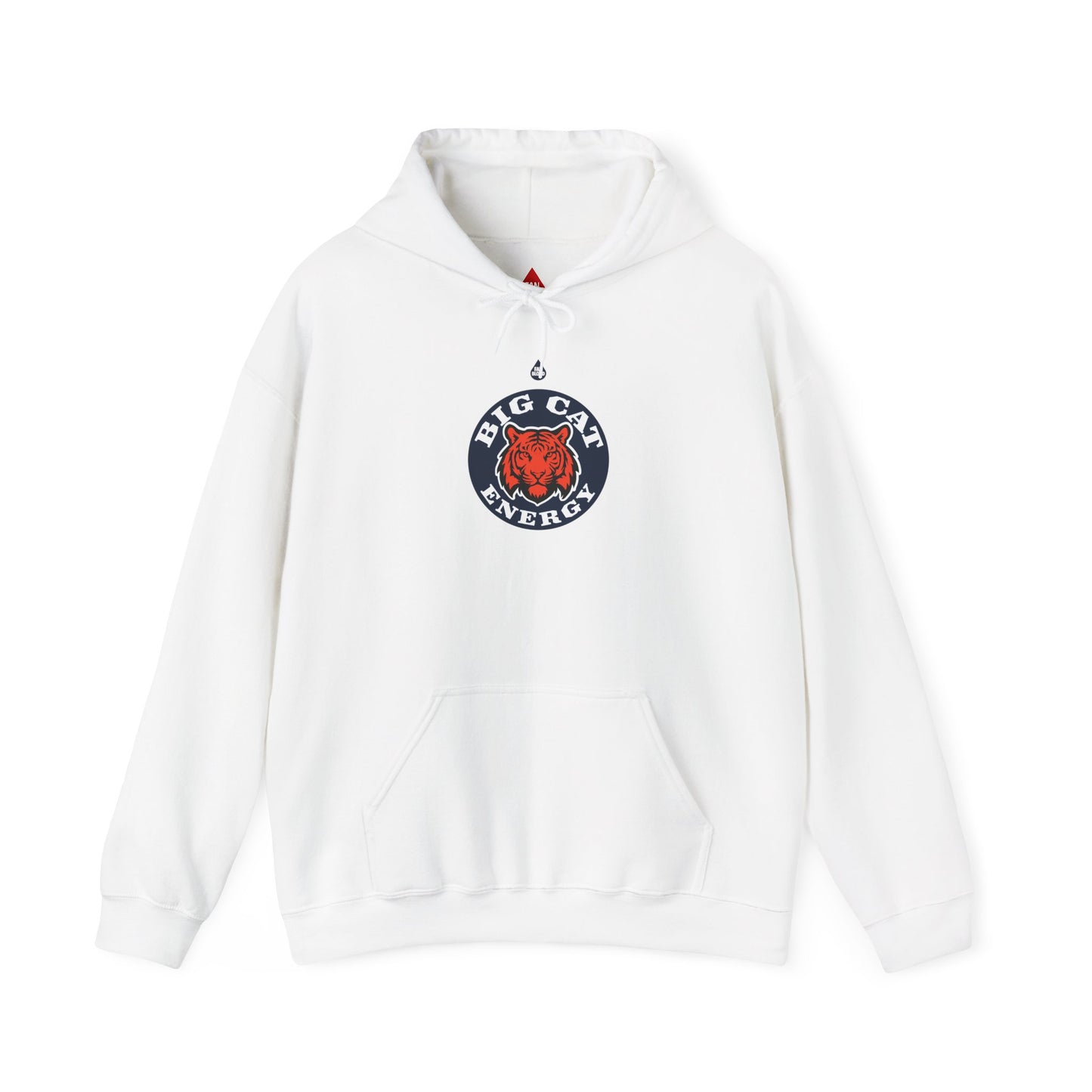 BCE Baseball Hoodie