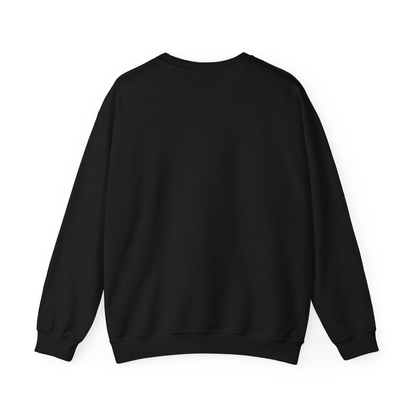 Ames IMB Sweatshirt