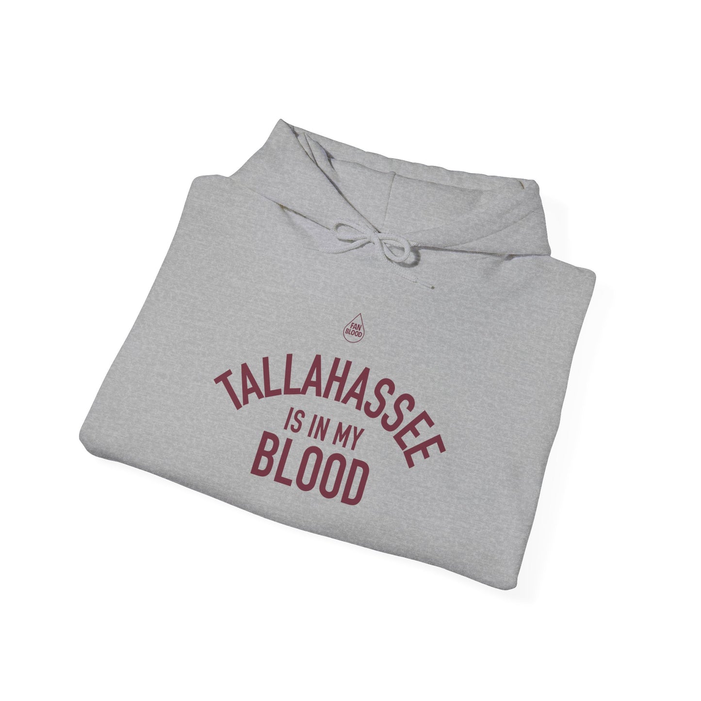 Tallahassee IMB Hoodie