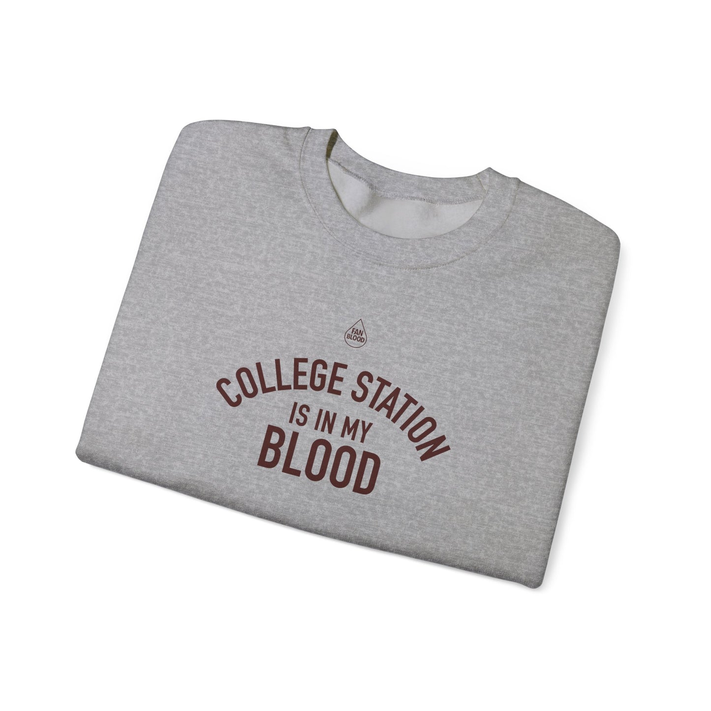 College Station IMB Sweatshirt