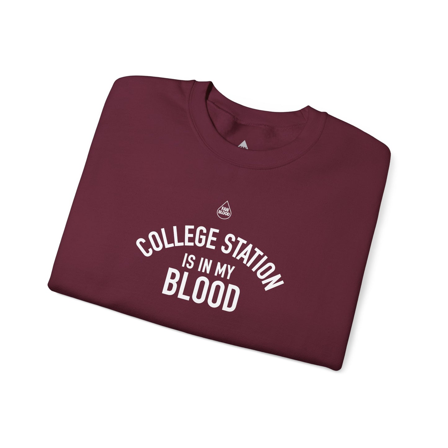College Station IMB Sweatshirt