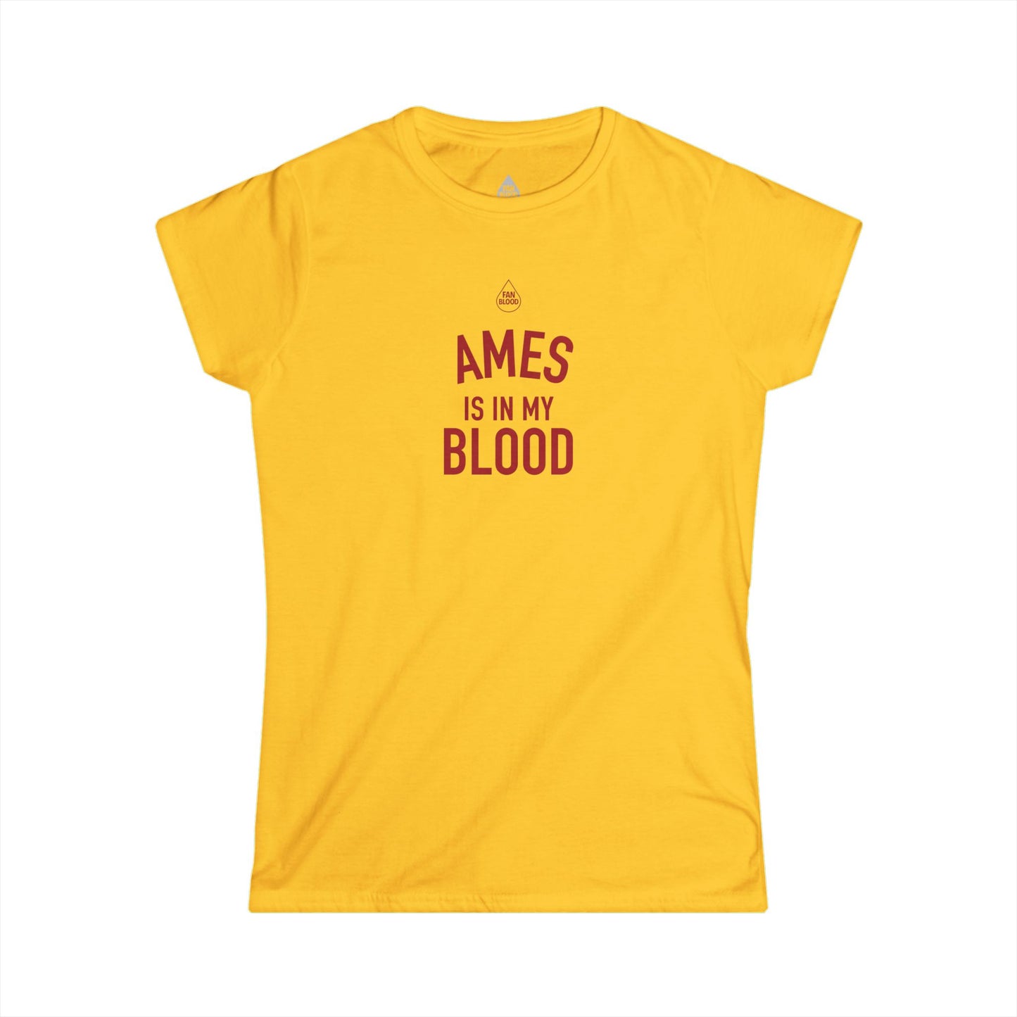Ames IMB Women's T