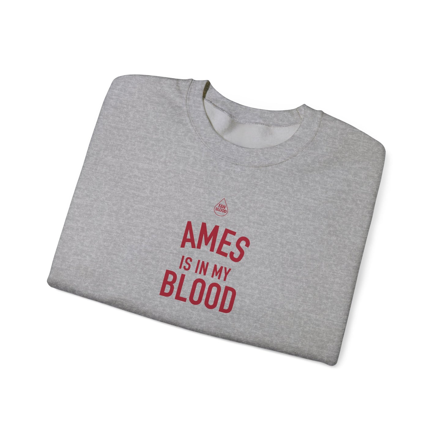 Ames IMB Sweatshirt